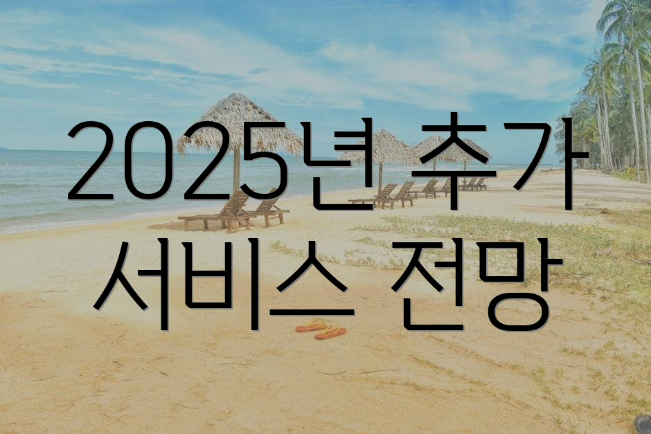 2025년 추가 서비스 전망
