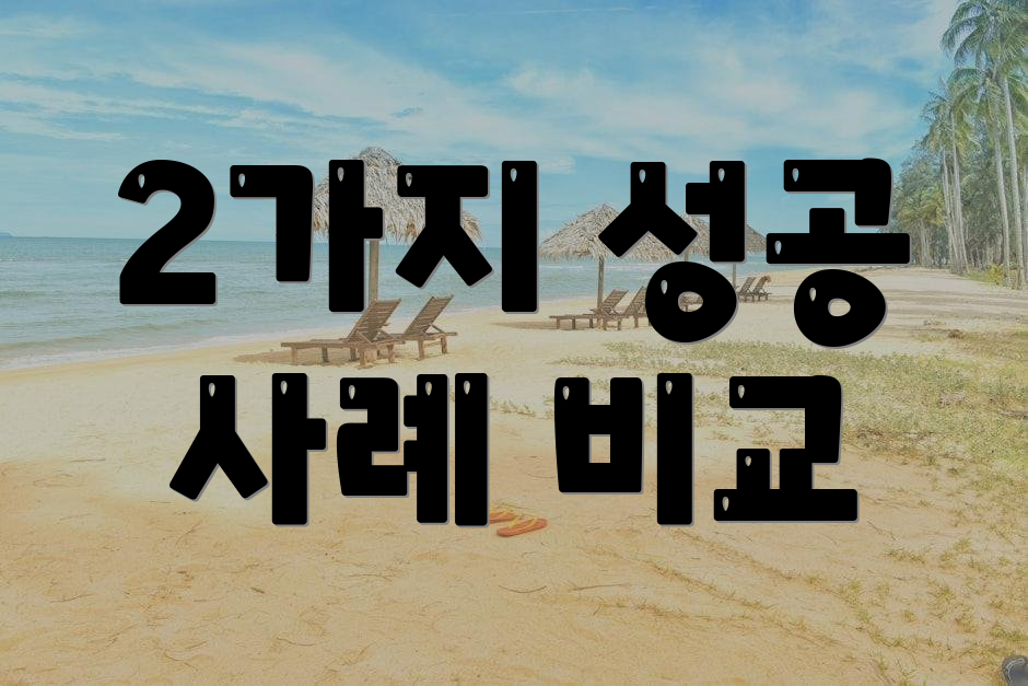 2가지 성공 사례 비교