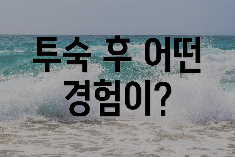 투숙 후 어떤 경험이?