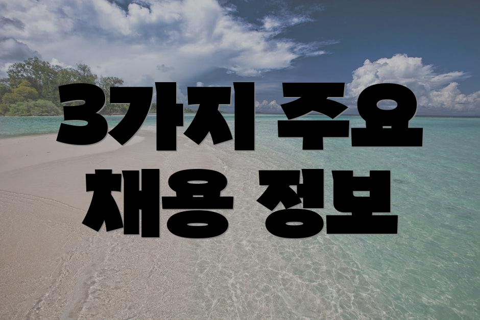 3가지 주요 채용 정보