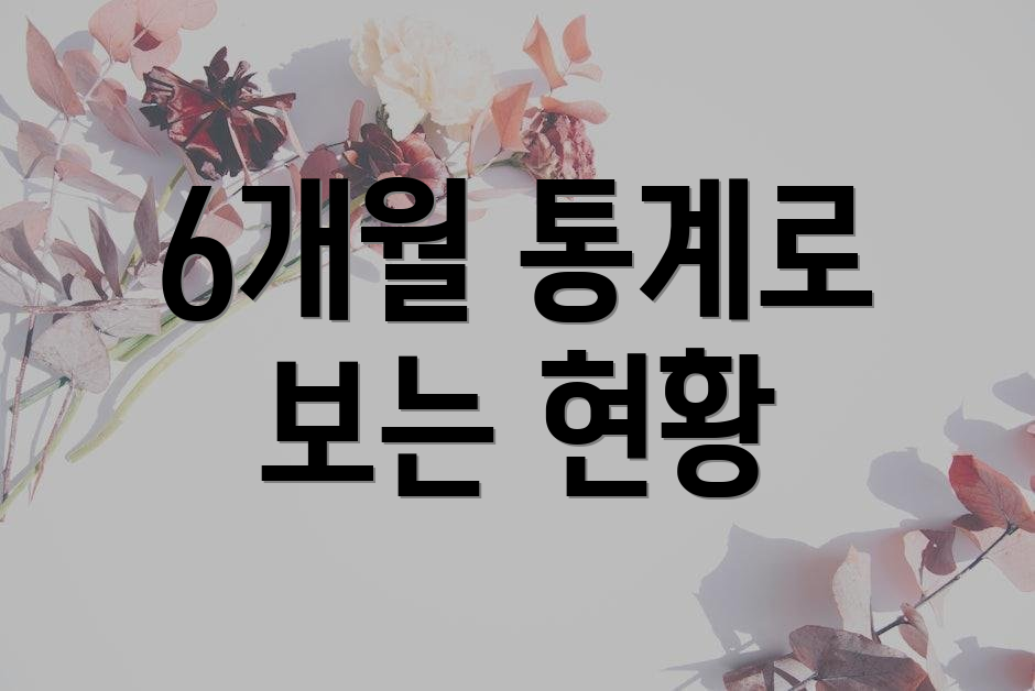 6개월 통계로 보는 현황