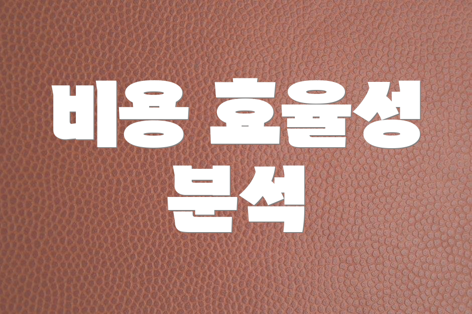 비용 효율성 분석