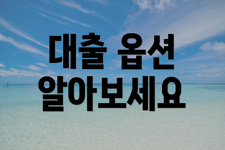 대출 옵션 알아보세요