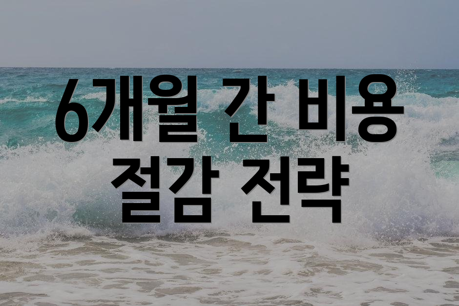 6개월 간 비용 절감 전략