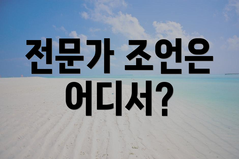 전문가 조언은 어디서?