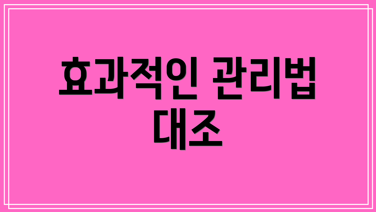 효과적인 관리법 대조