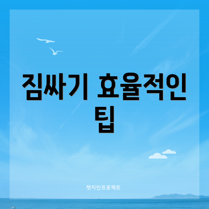 짐싸기 효율적인 팁