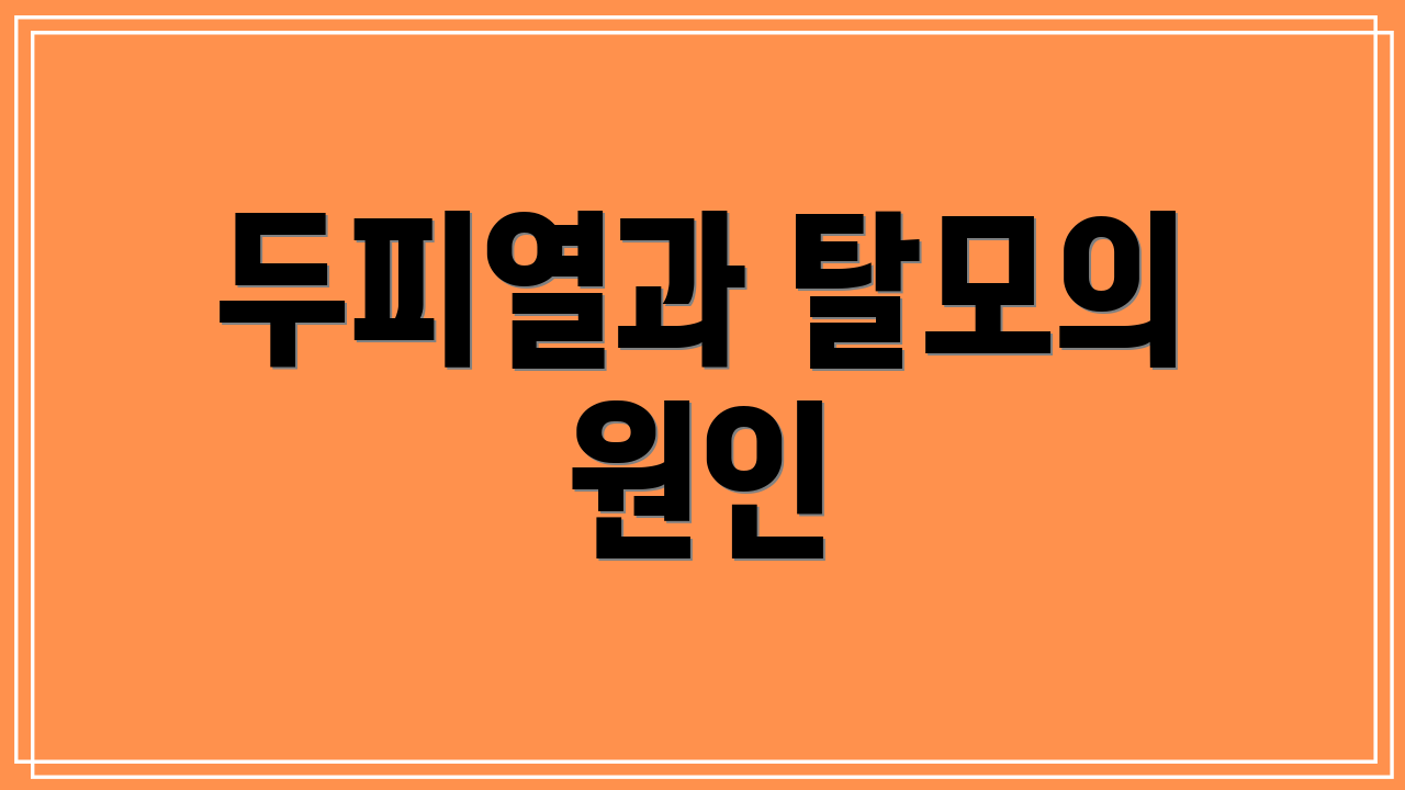 두피열과 탈모의 원인