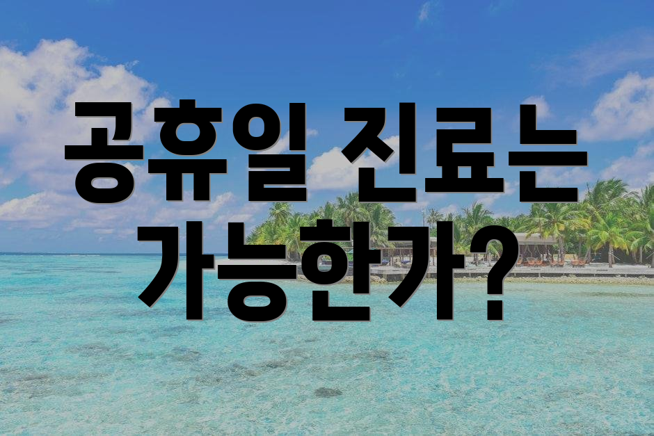 공휴일 진료는 가능한가?