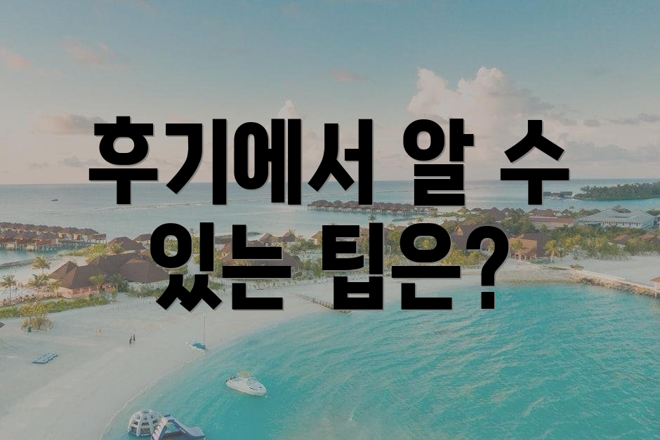 후기에서 알 수 있는 팁은?