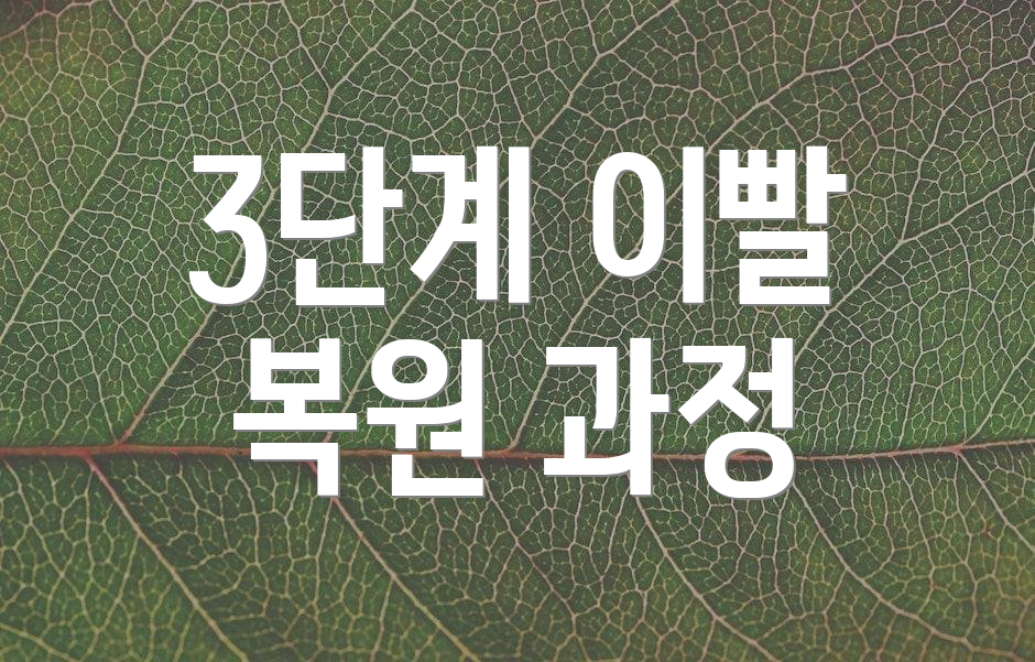 3단계 이빨 복원 과정