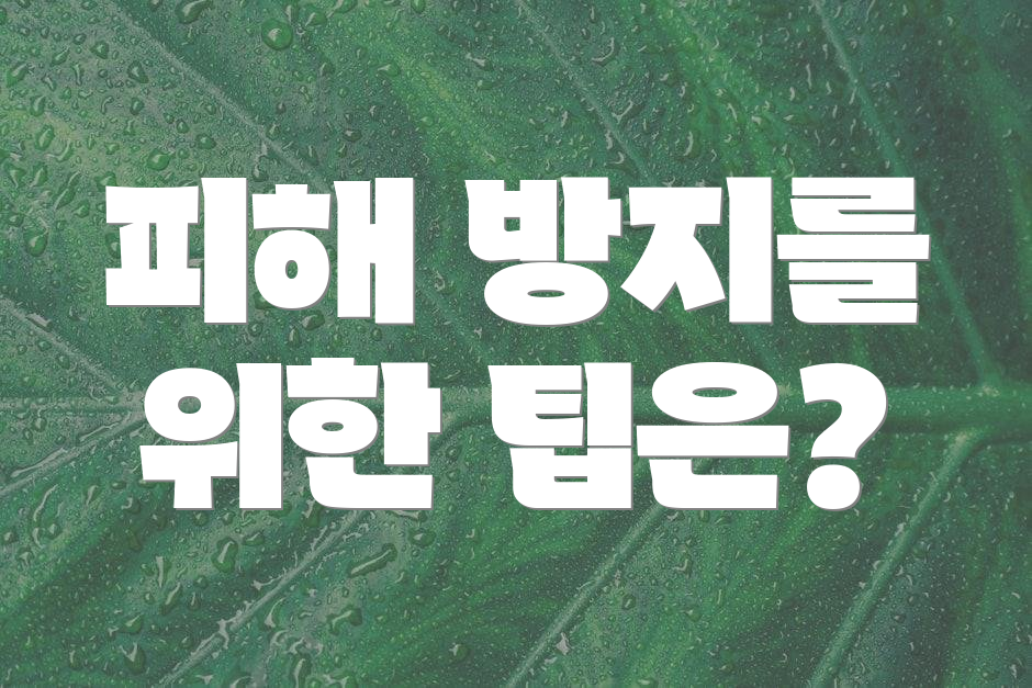 피해 방지를 위한 팁은?