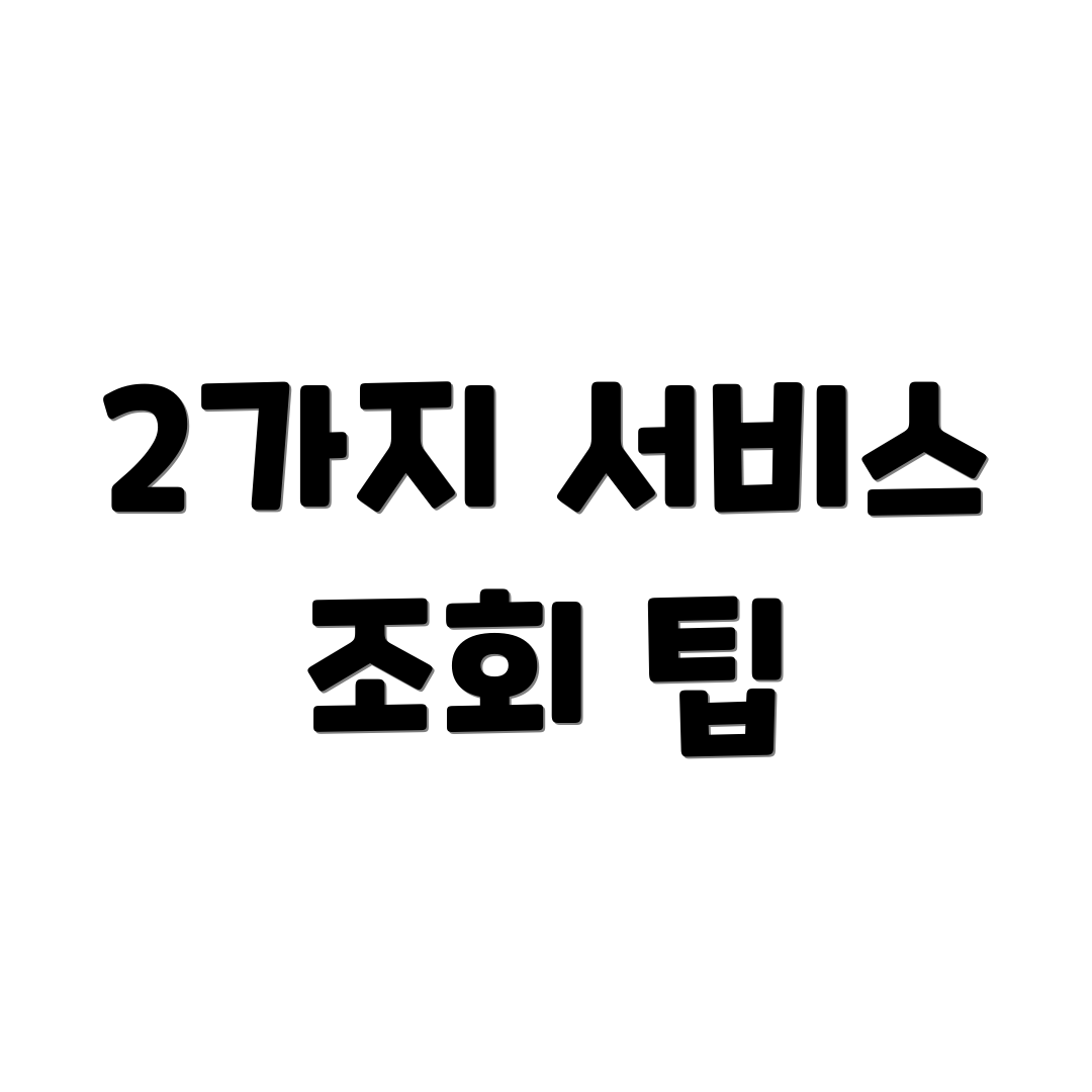 2가지 서비스 조회 팁