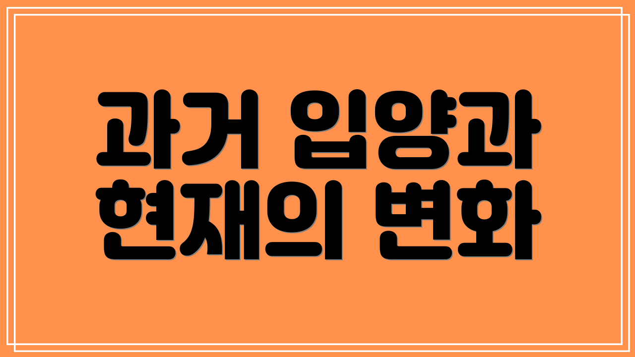 과거 입양과 현재의 변화