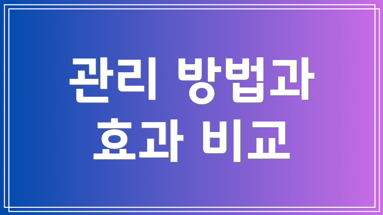관리 방법과 효과 비교