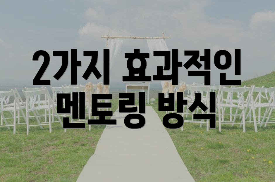 2가지 효과적인 멘토링 방식