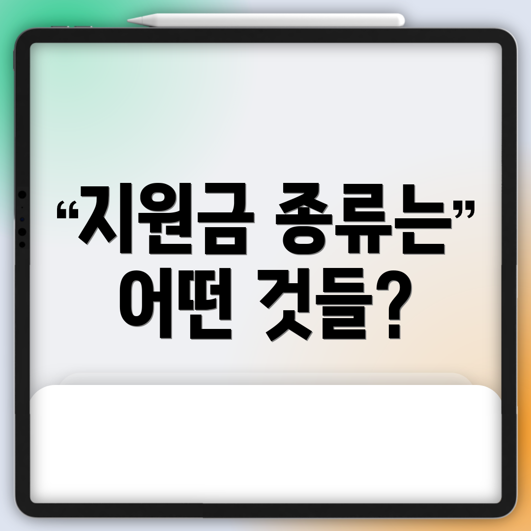 지원금 종류는 어떤 것들?
