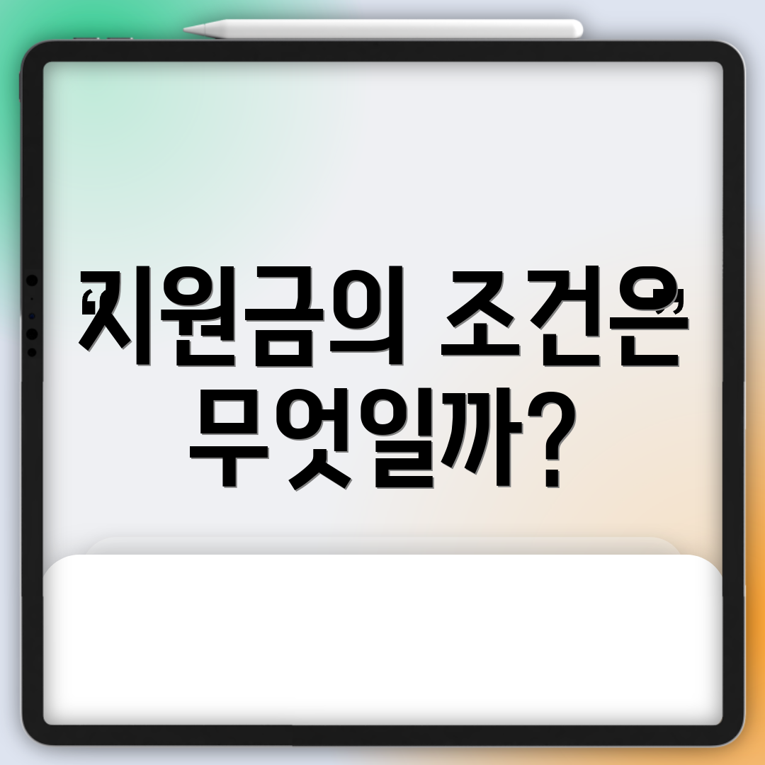 지원금의 조건은 무엇일까?