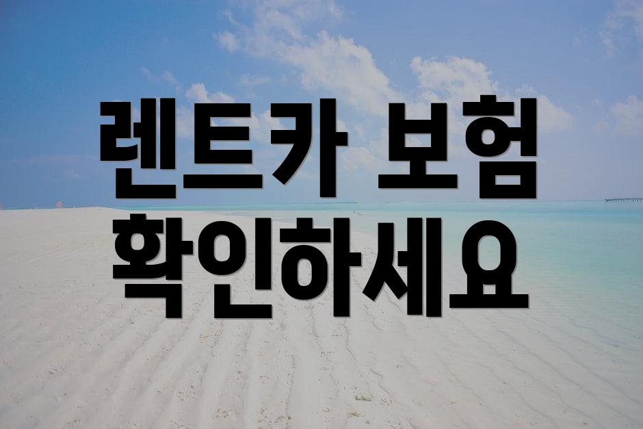 렌트카 보험 확인하세요