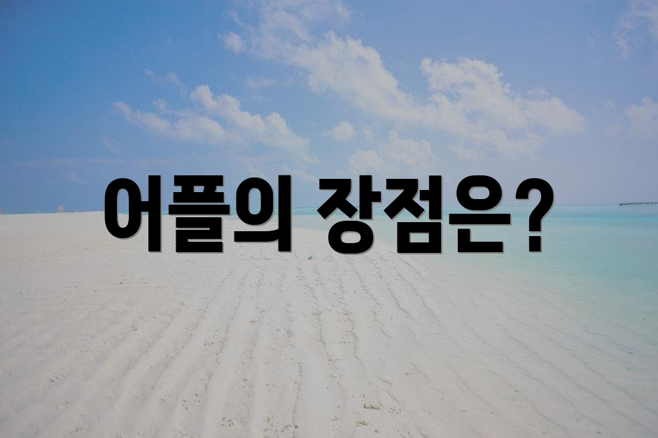 어플의 장점은?