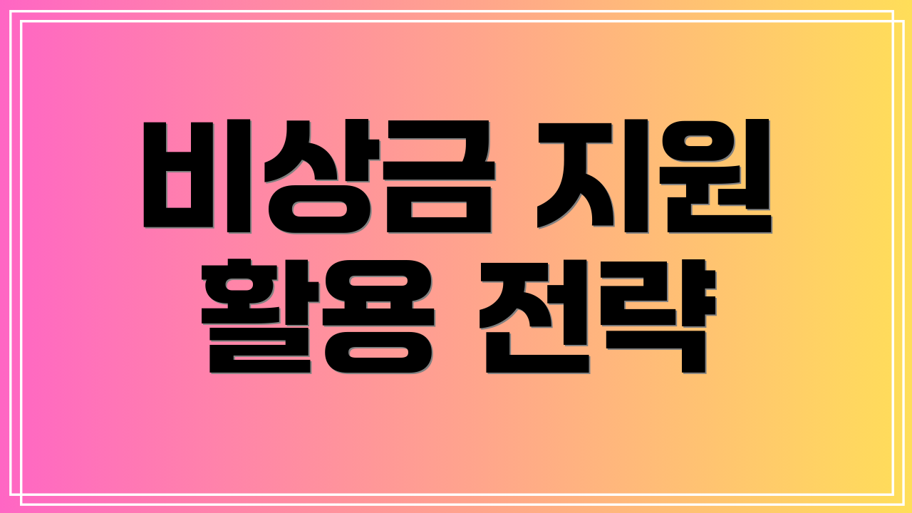 비상금 지원 활용 전략