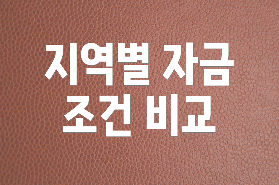 지역별 자금 조건 비교