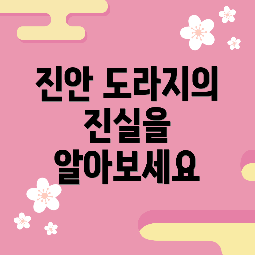 진안 도라지의 진실을 알아보세요