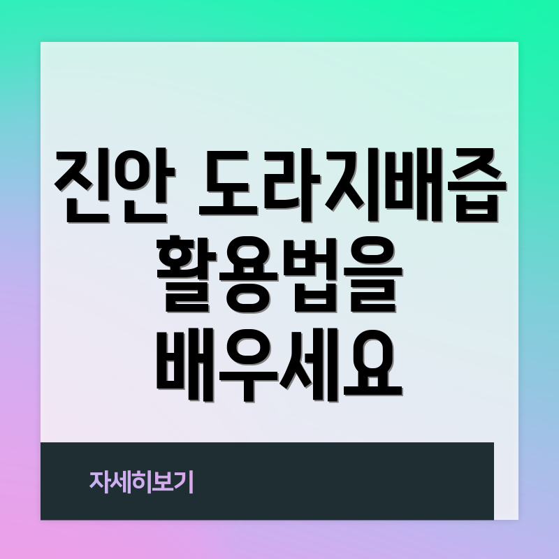 진안 도라지배즙 활용법을 배우세요
