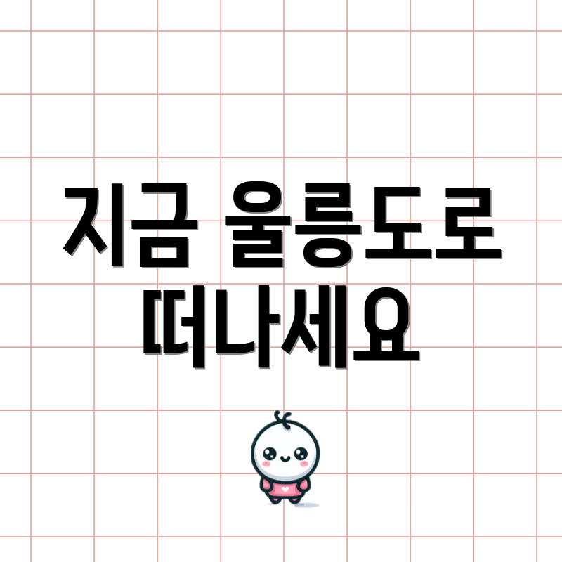 지금 울릉도로 떠나세요