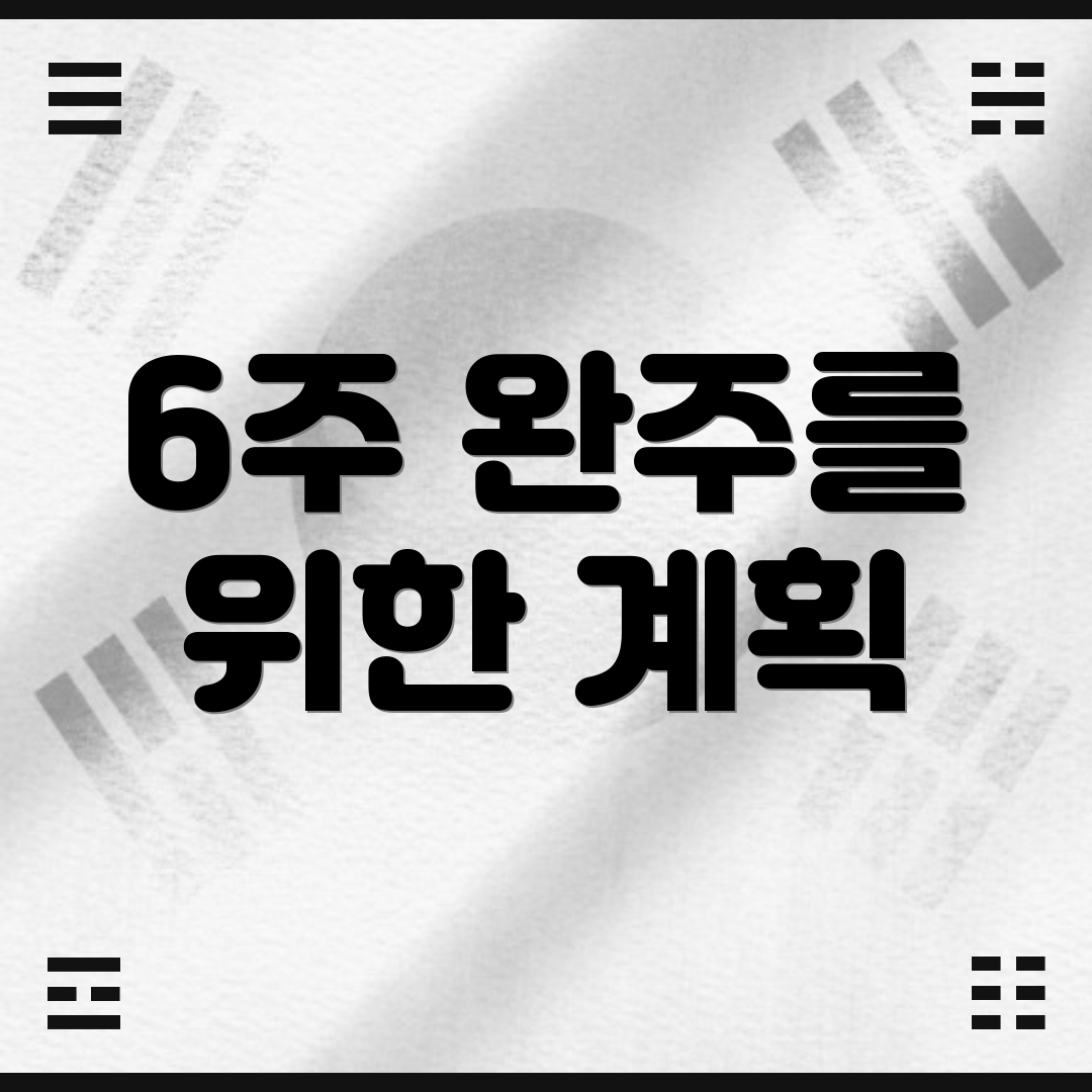 6주 완주를 위한 계획