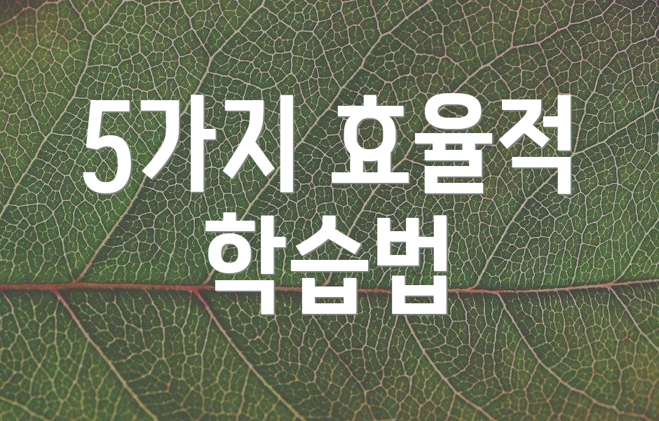 5가지 효율적 학습법