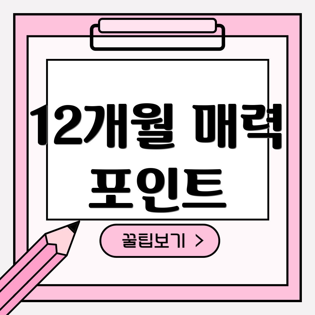 12개월 매력 포인트