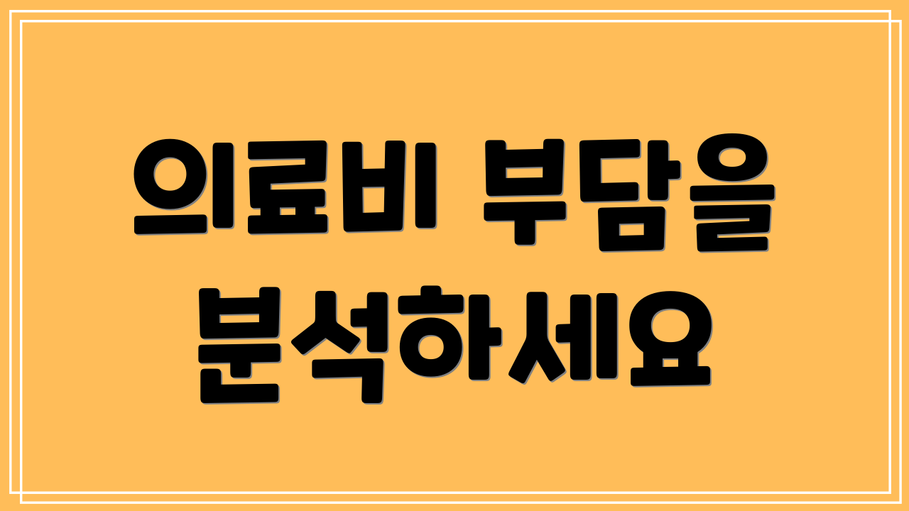 의료비 부담을 분석하세요