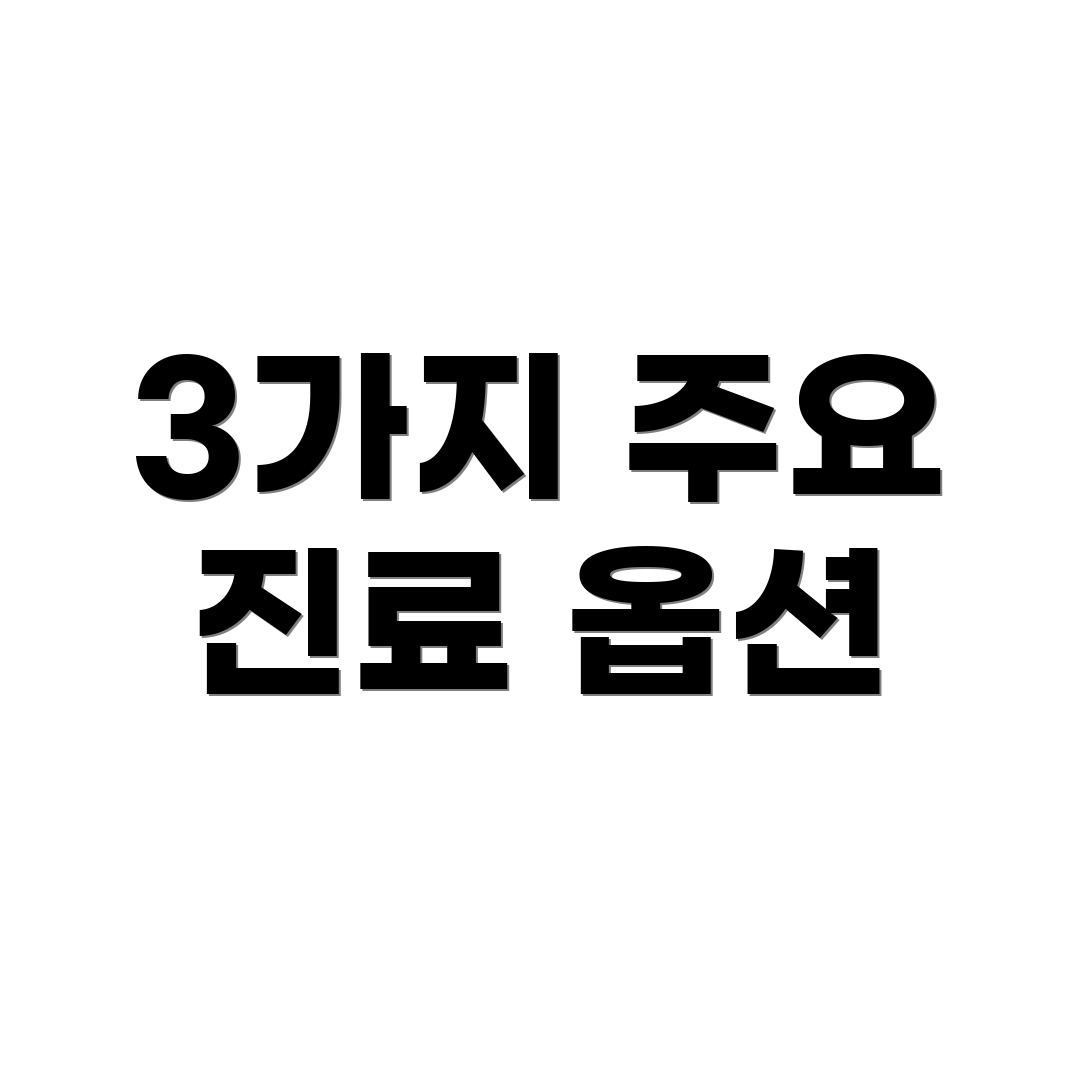 3가지 주요 진료 옵션