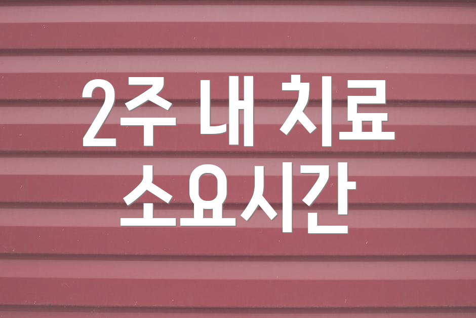 2주 내 치료 소요시간