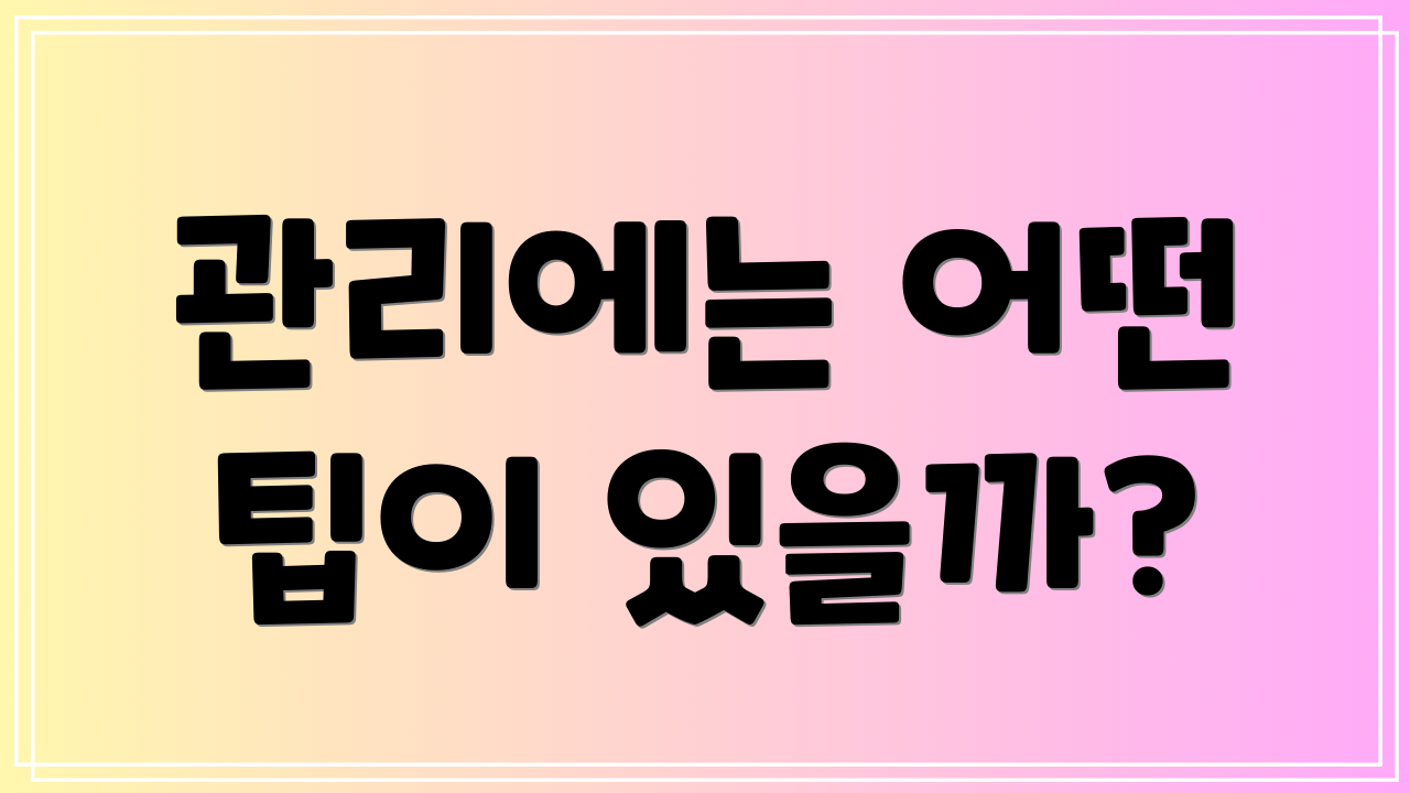 관리에는 어떤 팁이 있을까?
