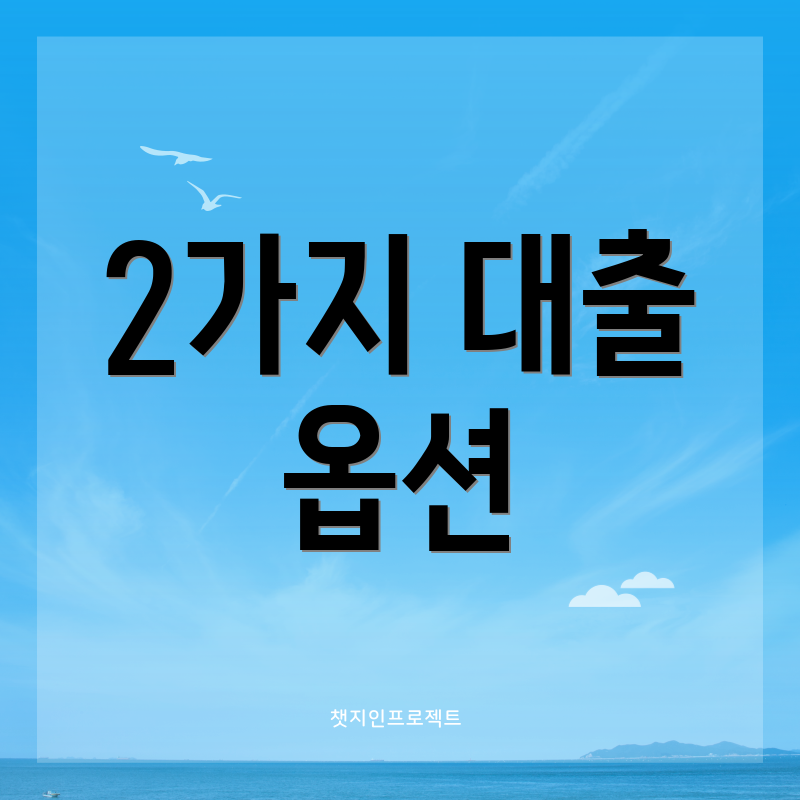 2가지 대출 옵션