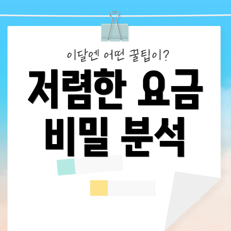 저렴한 요금 비밀 분석
