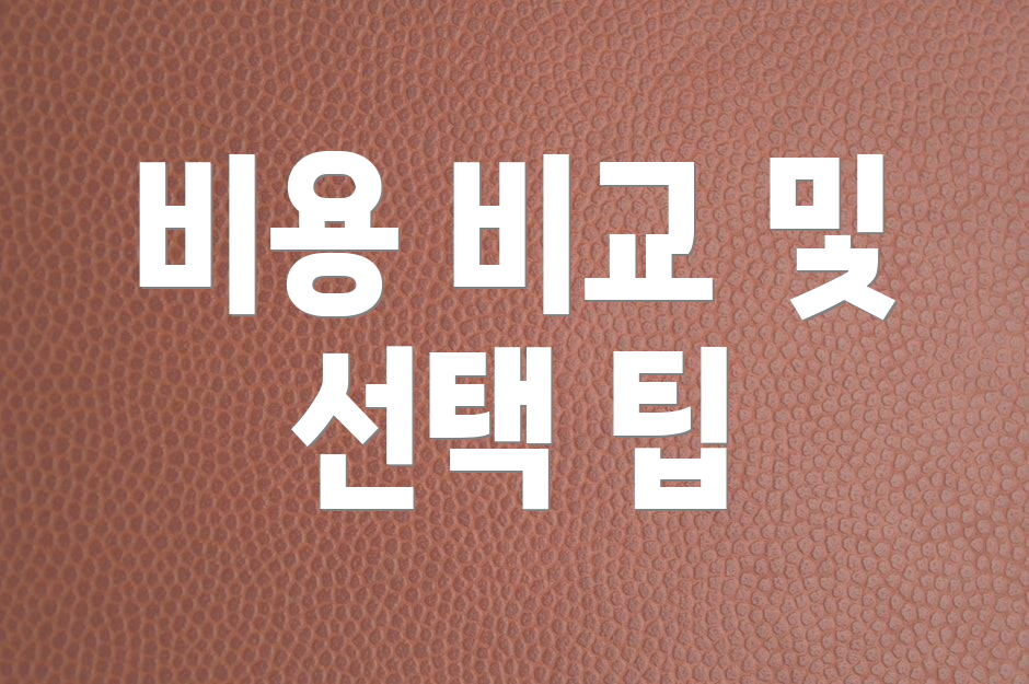 비용 비교 및 선택 팁
