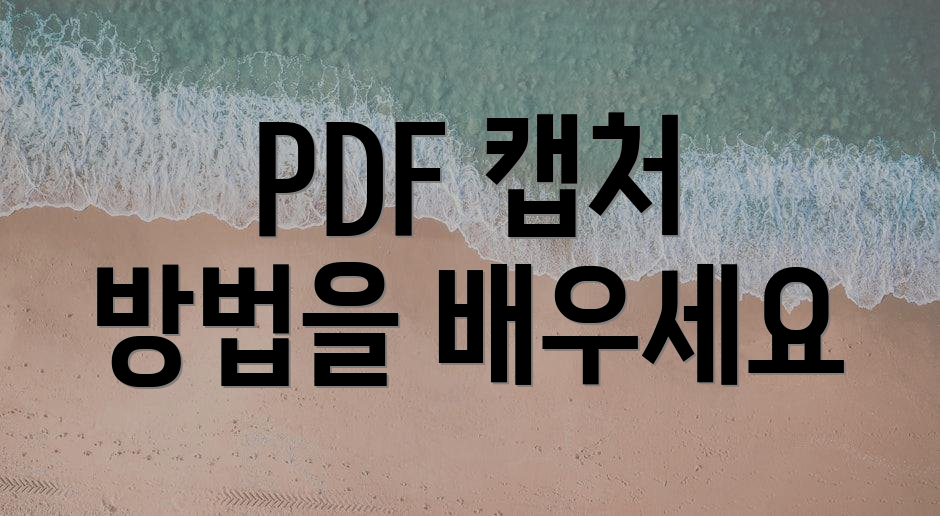PDF 캡처 방법을 배우세요