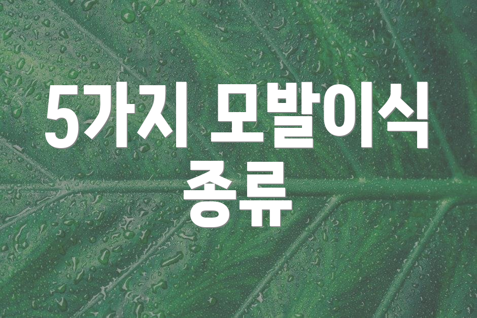 5가지 모발이식 종류