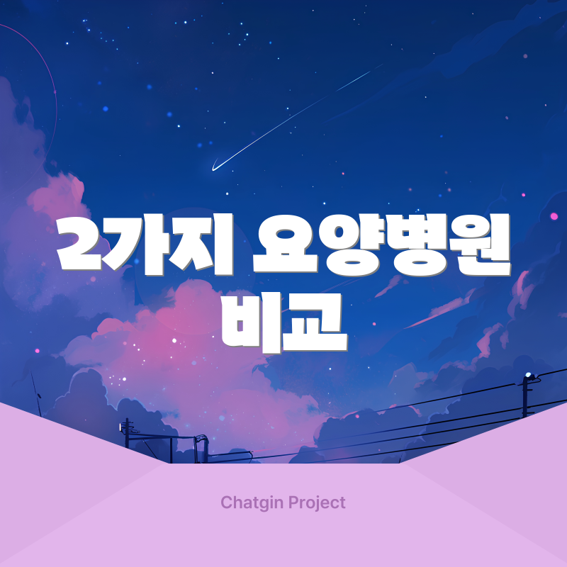 2가지 요양병원 비교