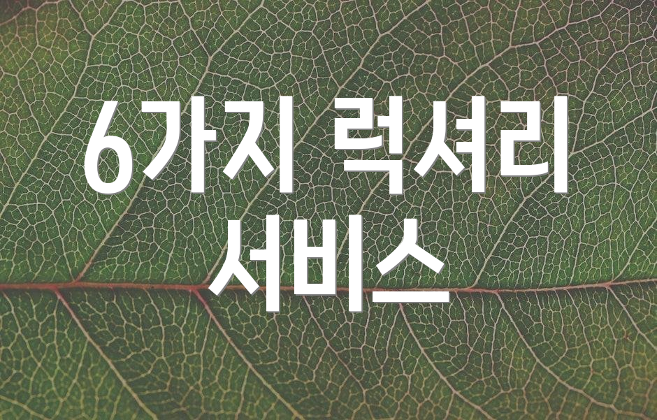 6가지 럭셔리 서비스
