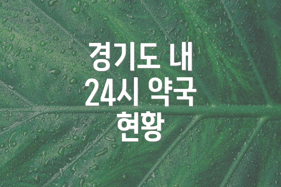 경기도 내 24시 약국 현황