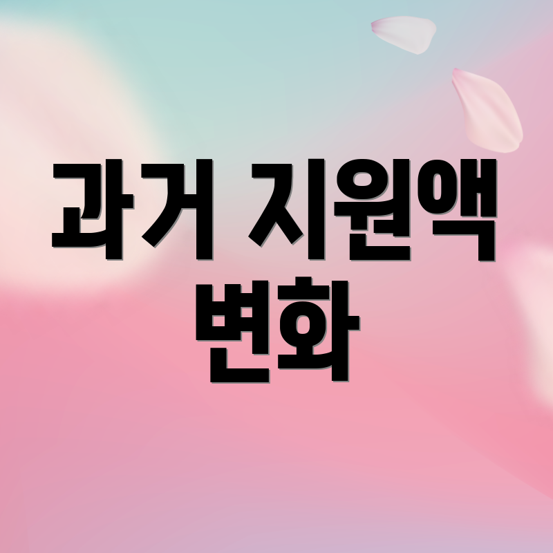 과거 지원액 변화