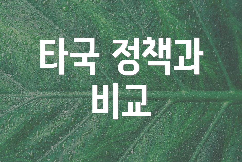 타국 정책과 비교