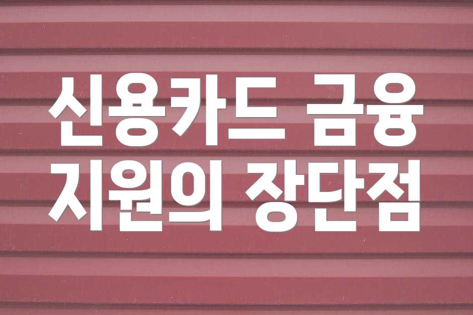 신용카드 금융 지원의 장단점