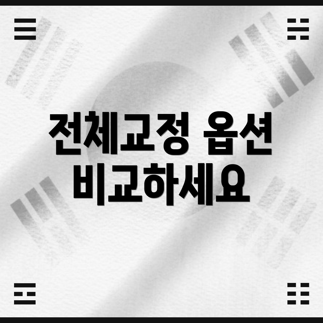 전체교정 옵션 비교하세요
