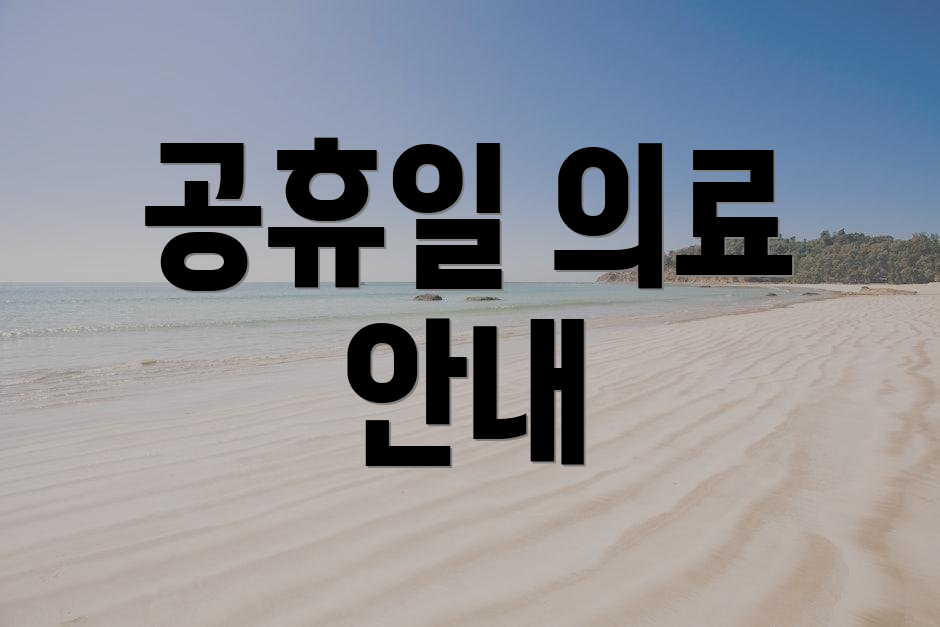 공휴일 의료 안내