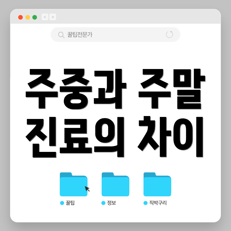 주중과 주말 진료의 차이